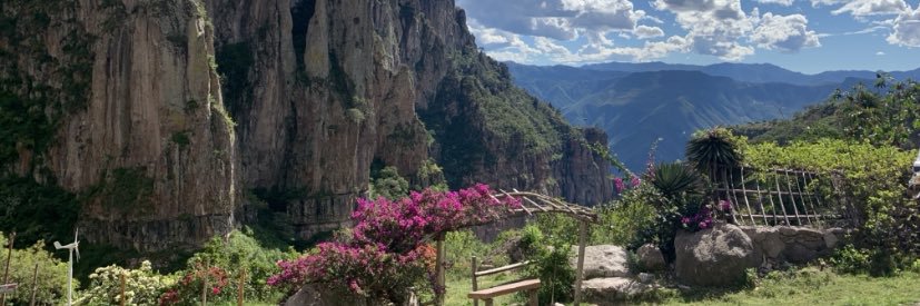 Francisco Suárez banner