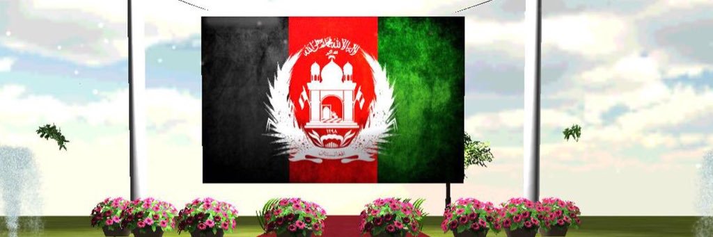 zarifaamir's profile banner image