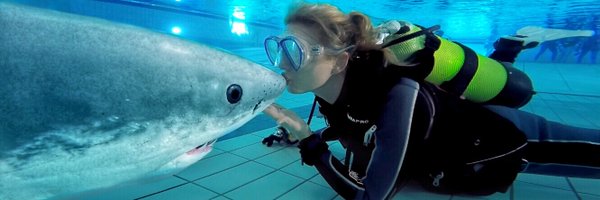 VeBee Profile Banner