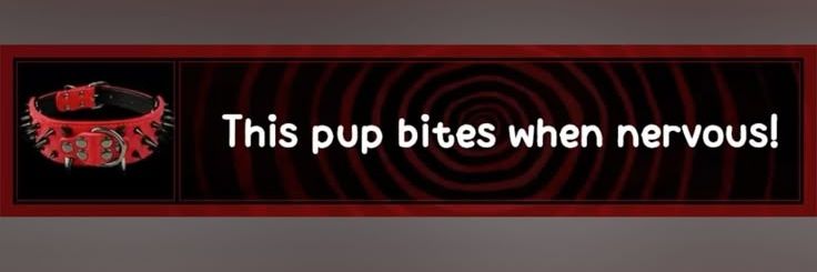 Axel 🐾🦴 banner