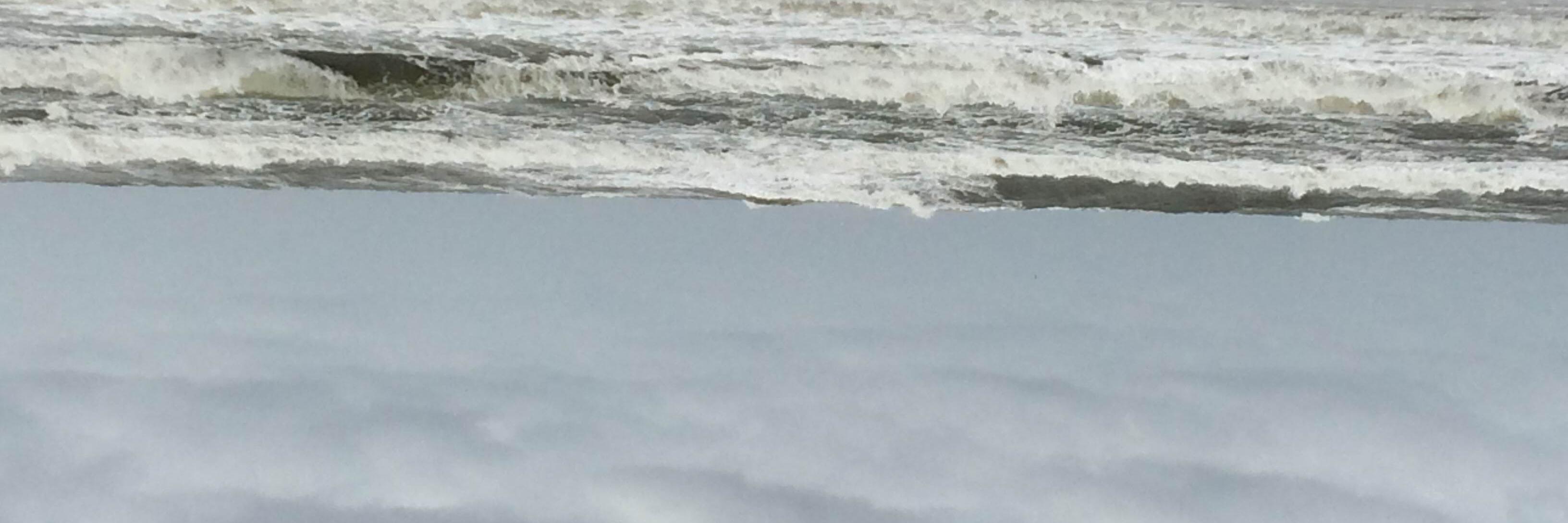 lmurdock's profile banner image
