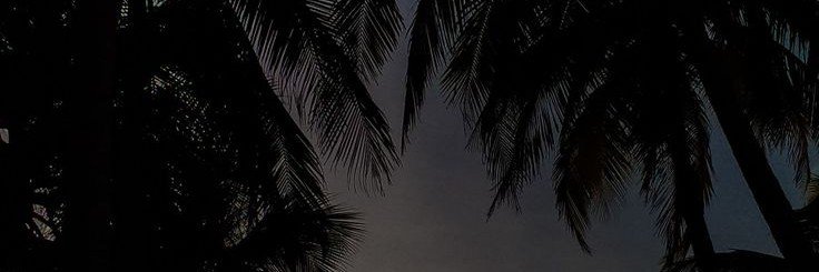 IntWisD's profile banner image