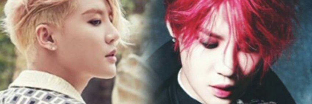 코코 아이리스🥥♦️🌿 banner