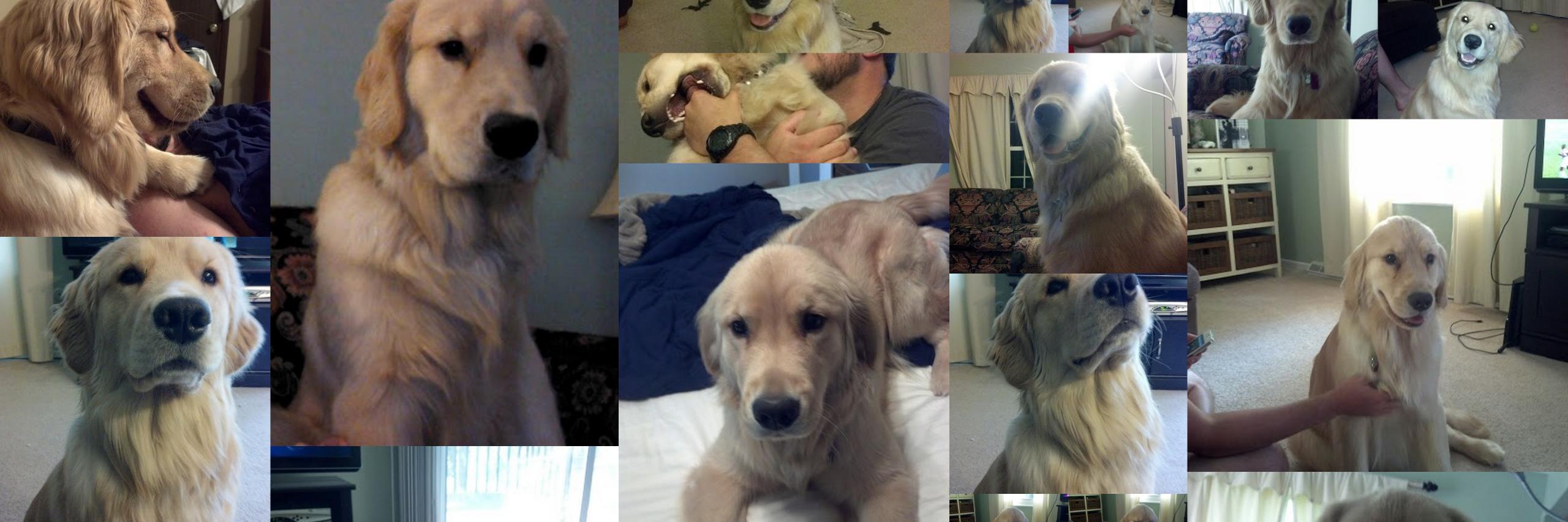 laurashley4's profile banner image