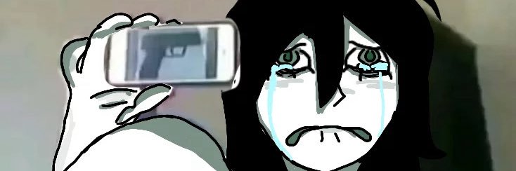 vinc banner