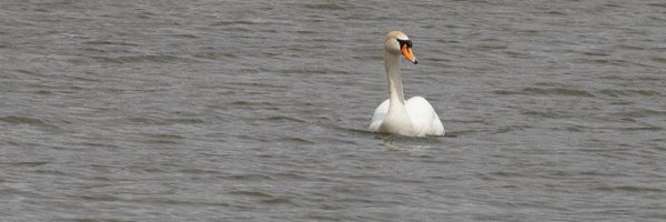 Chris Belcher writer - nature photographer Profile Banner