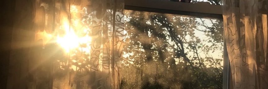 lelyuie's profile banner image