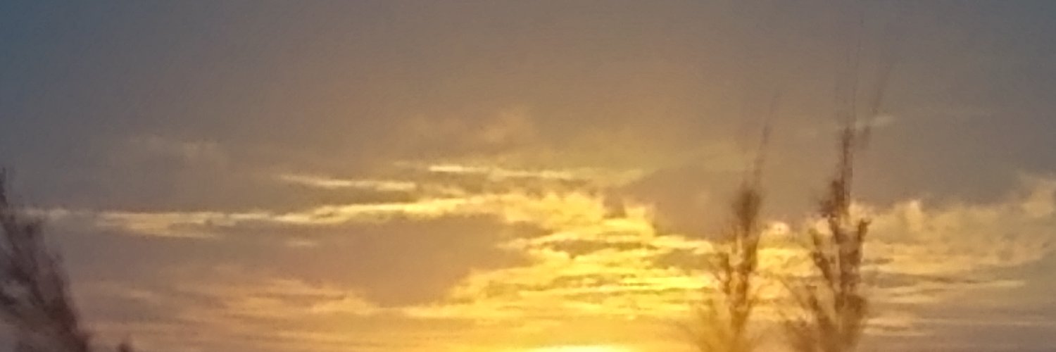 b_faidutti's profile banner image