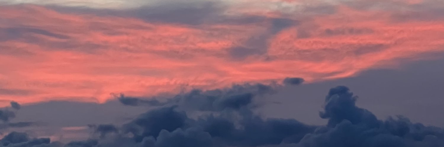 diannemanselle's profile banner image