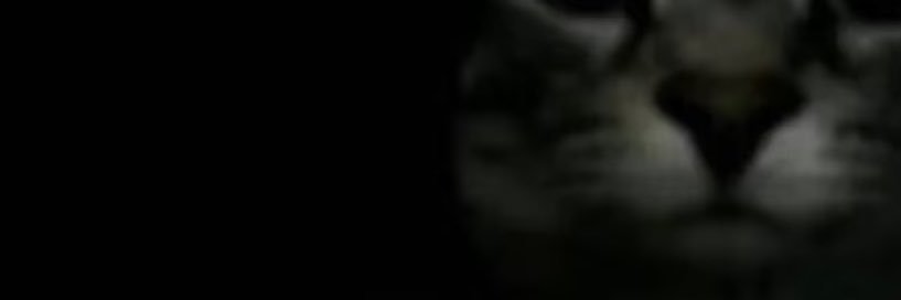RioACaCl's profile banner image