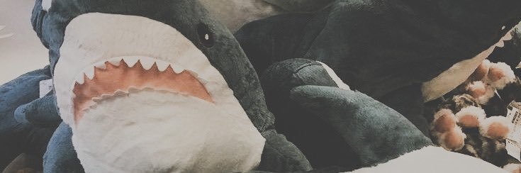 ꩜ banner