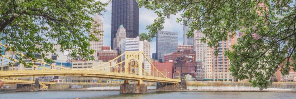 kelliserencsa's profile banner image