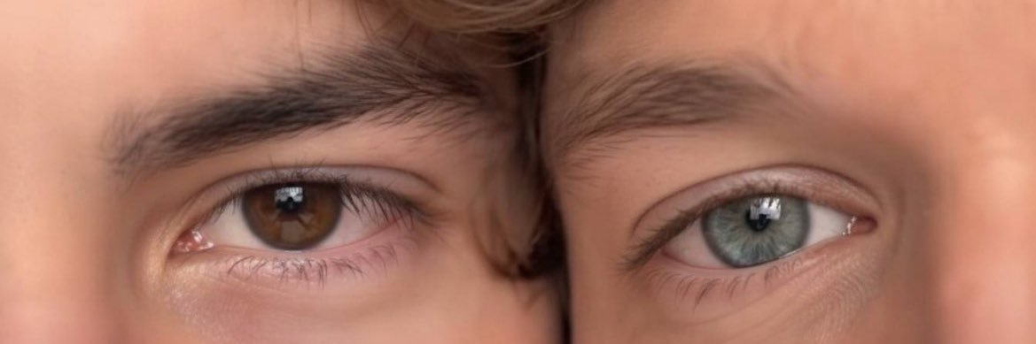 rosekoooo's profile banner image