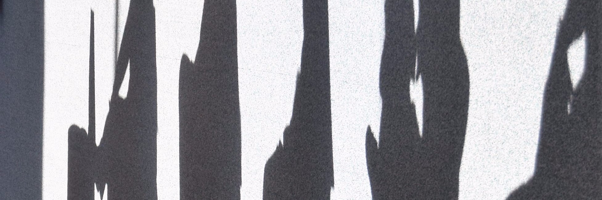 Andrew Carr banner
