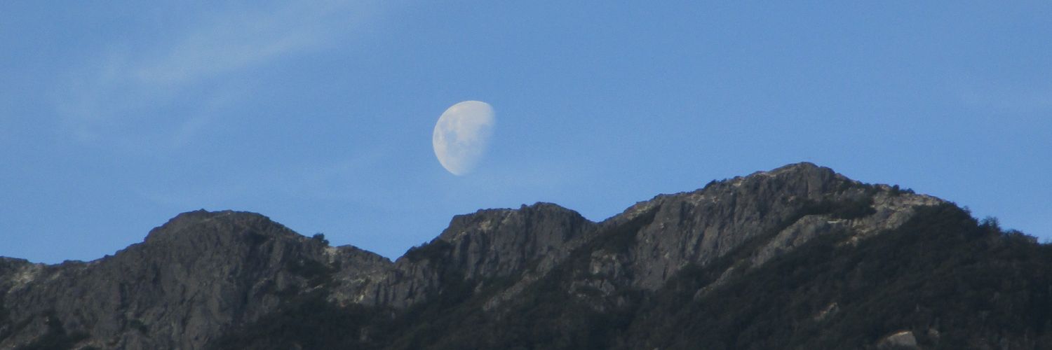 Prudence6's profile banner image