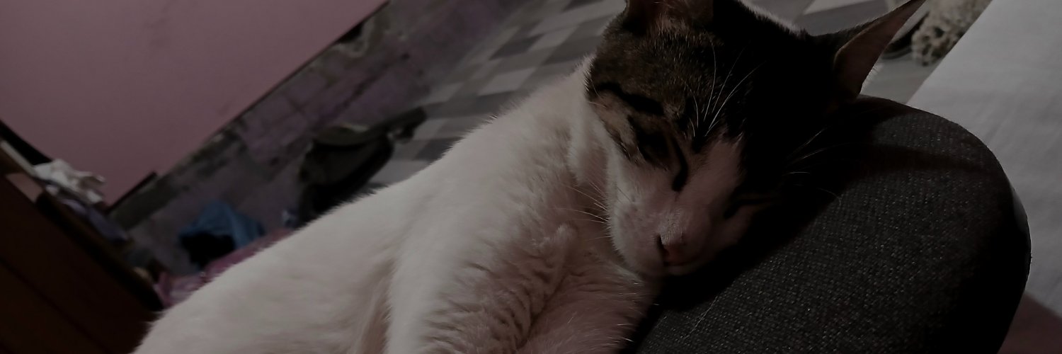 mnigabyy's profile banner image