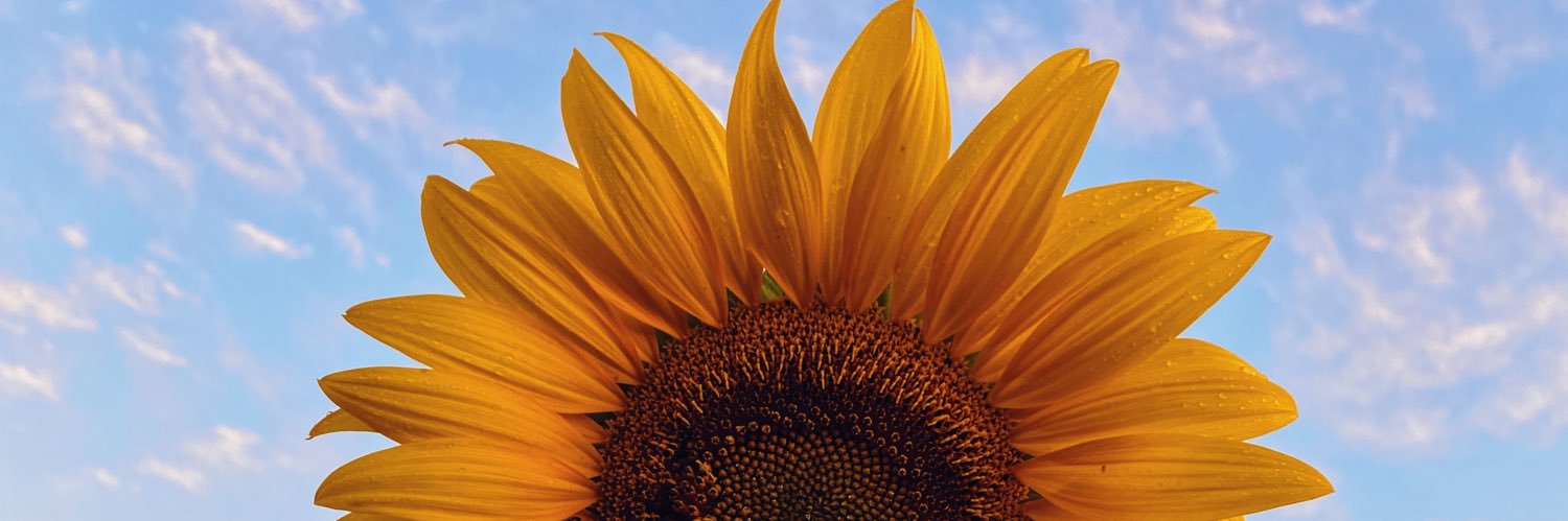 vidailluminada's profile banner image