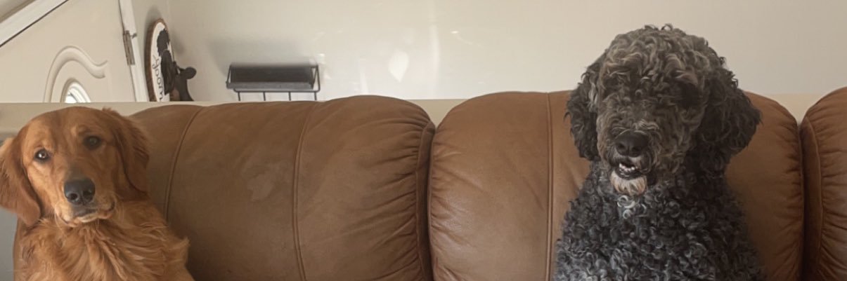 JakeNDBeanstalk's profile banner image