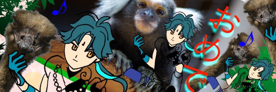 ajyopo's profile banner image