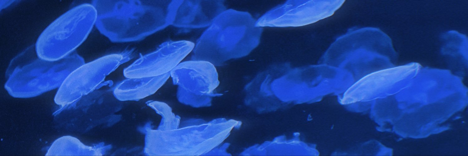 mc2hO's profile banner image