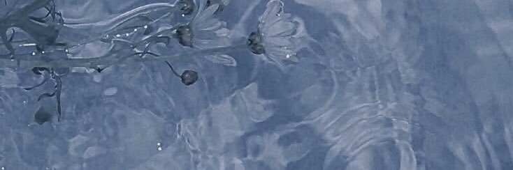 mi56s9b's profile banner image