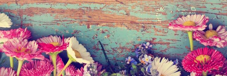 ashleyhuffines's profile banner image