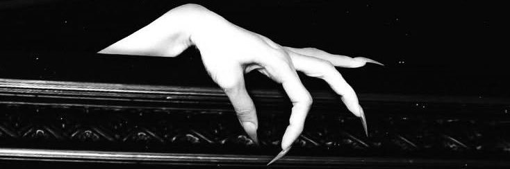 𝒵𝑀𝒪𝑅𝒜 ִֶָ. ..𓂃 ࣪ ִֶָ🪽་༘ banner