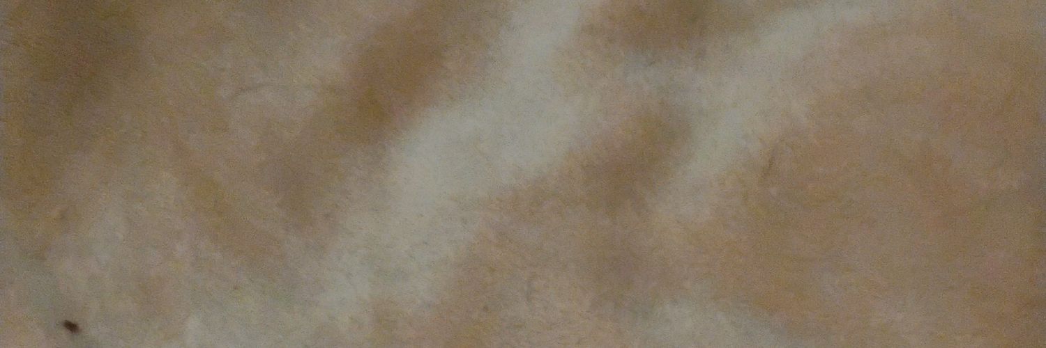Zoeee banner