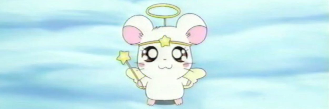 sancty's profile banner image