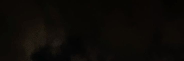 Noah banner