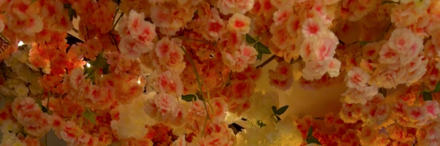 oddzani's profile banner image