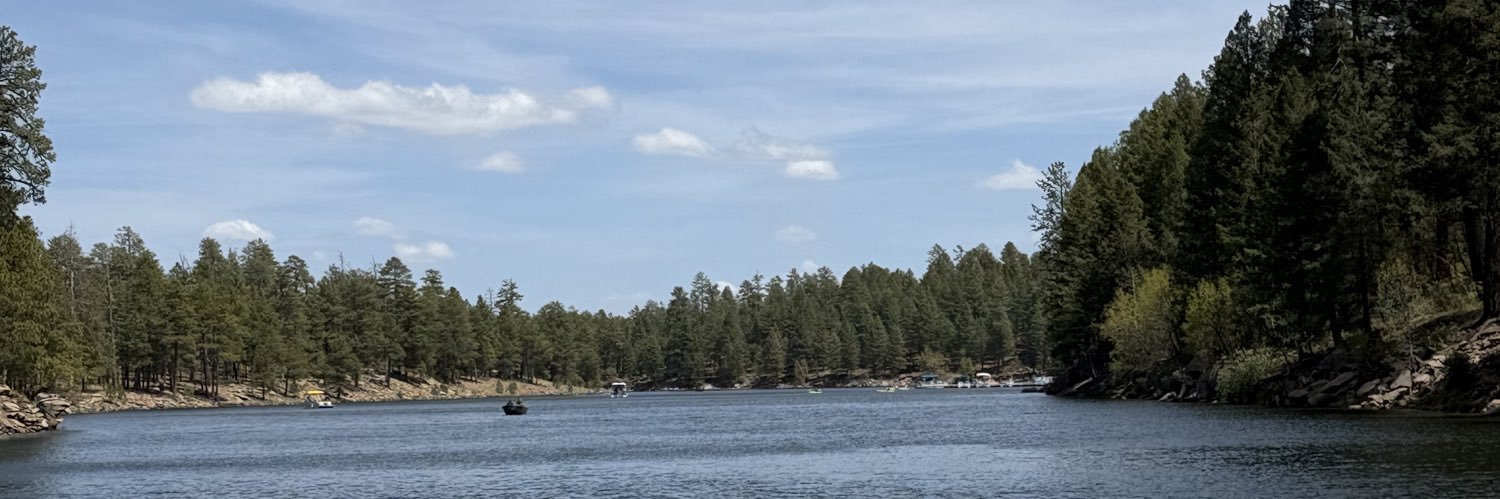 delgriffithh's profile banner image