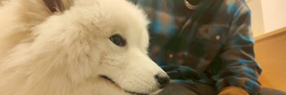 haku89_main's profile banner image