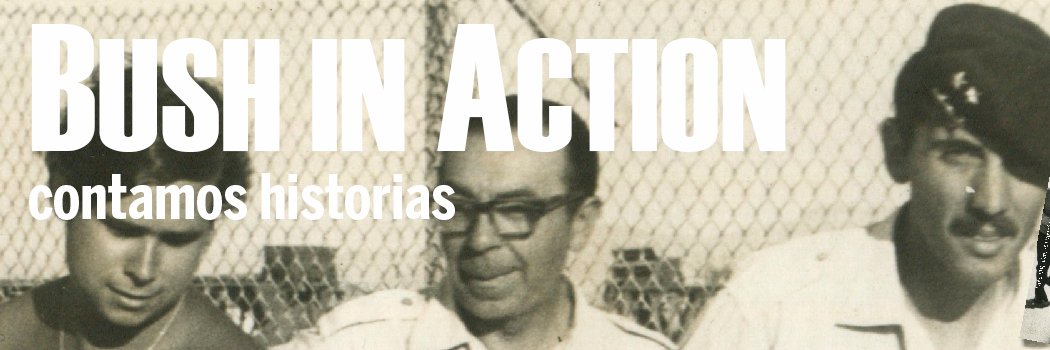 BushinAction's profile banner image