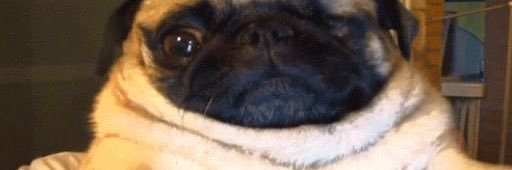 mia :,3 banner