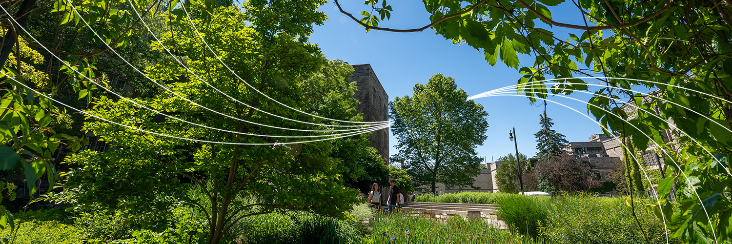 Western University's banner