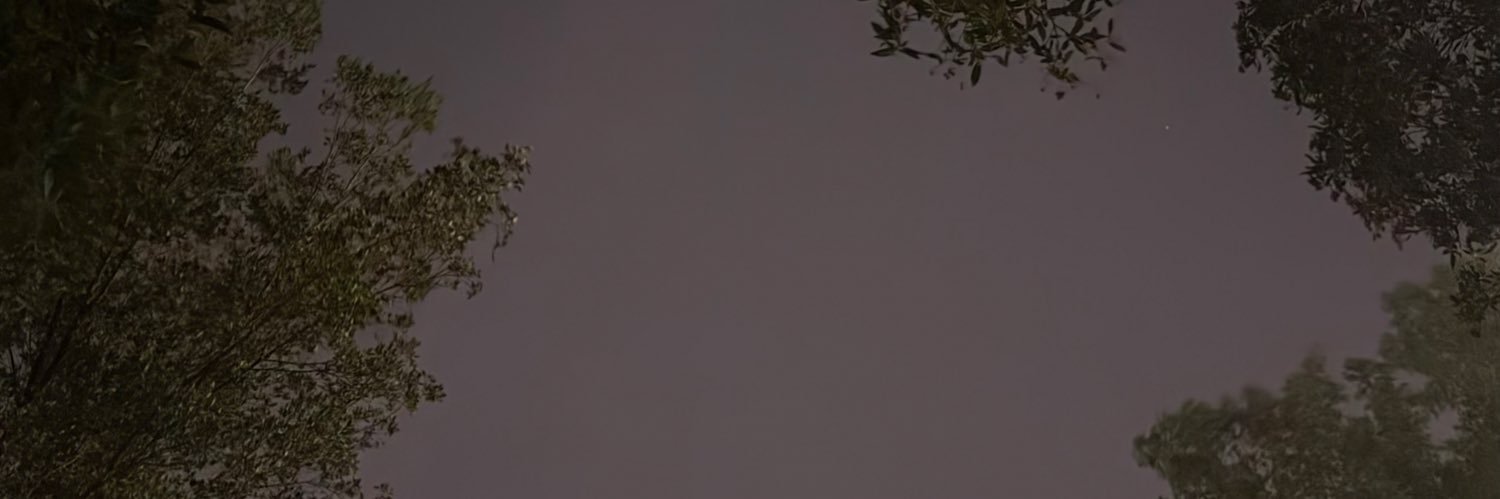 Moon banner