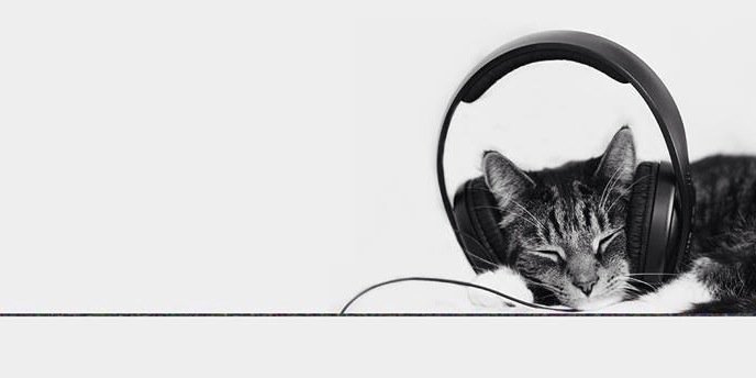lorenoakley's profile banner image