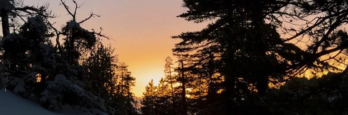 Floresst6's profile banner image