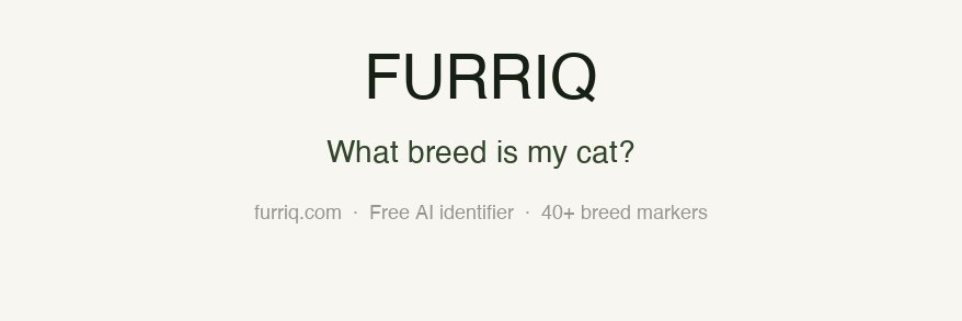 tryfurriq's profile banner image