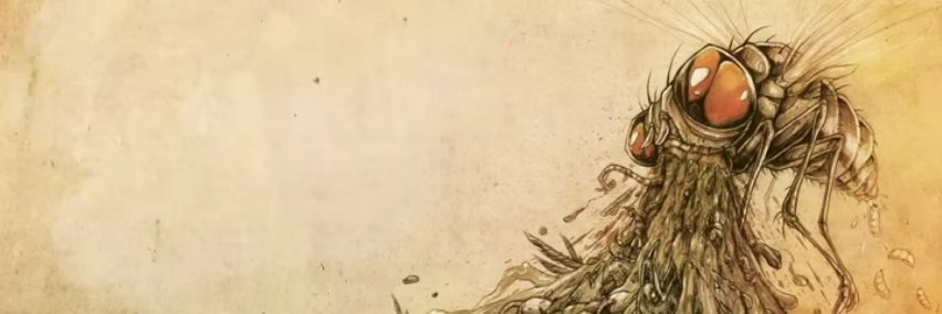 5_Leva's profile banner image