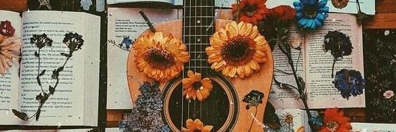 Novi🐎🏝️🎸 banner