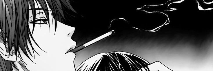 leo banner