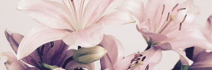 cimcuyy'²⁷ banner