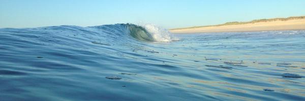 colleendebaise Profile Banner