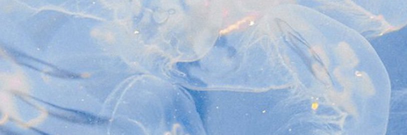yui__yt's profile banner image