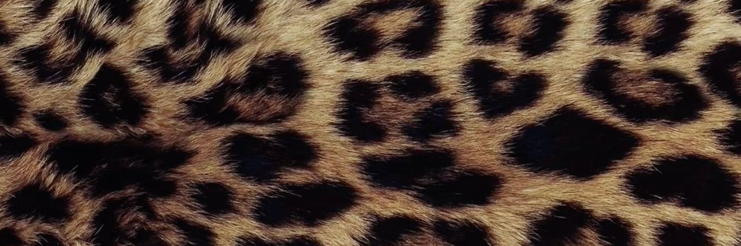 Sasha | Free Promotions DM banner