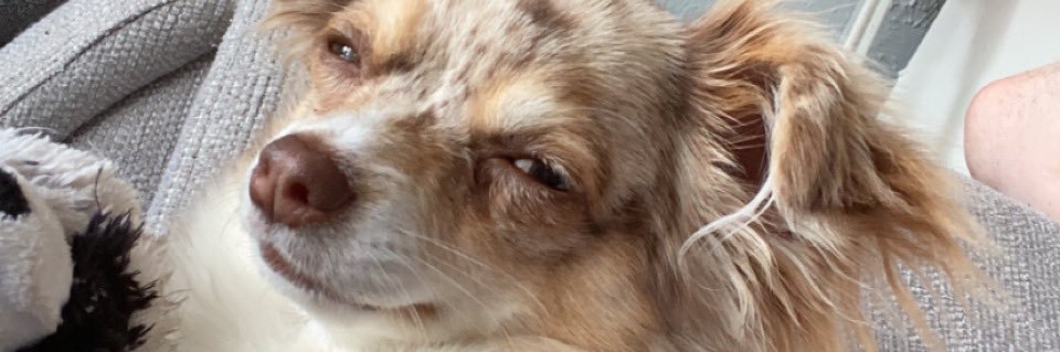 ChreeesDunn's profile banner image