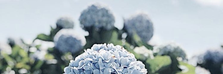 Theploypoii's profile banner image