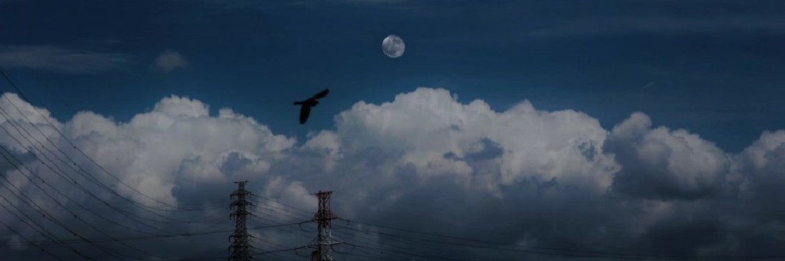 _froggit43's profile banner image